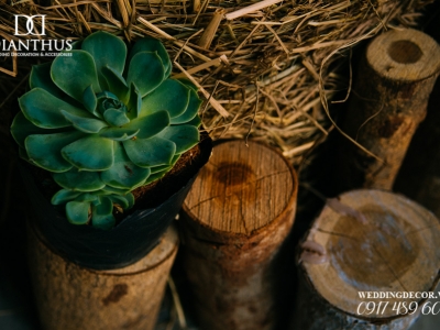 Nhân Viên Viết Bài Content Marketing