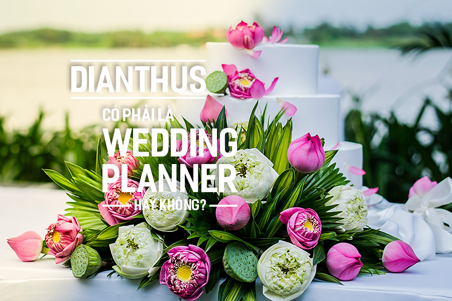 Dianthus có phải là Wedding Planner hay không?